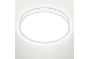 Befurglor 24W LED Ceiling Light Ø 28.5cm, 5000K Daylight White 2200LM,150W Equivalent, Modern LED Ceiling Lamp for Living Room,Bedroom, Kitchen, Bathroom, Hallway, Office