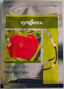 Syngenta Heemsohna Hybrid Tomato Seeds 3500SD