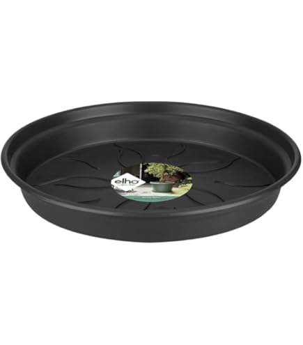 Vaso cassettone Jardinera Veneto Essential'' in plastica colorati da