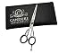 Produktbild CANDURE ®, professionell, Friseur Salon 13.97 cm Friseurschere Haarschere Geschenkbox