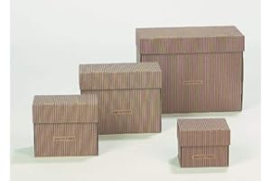 DAKOMYO PapierTiger Pro NA Karteikasten Streifen A6 Kartonage braun (6 er Set)