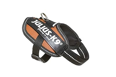 JULIUS-K9 Harnais Power IDC - Baby 2 - XS-S : 33-45 cm-18 mm - Orange cuivré - Pour chien