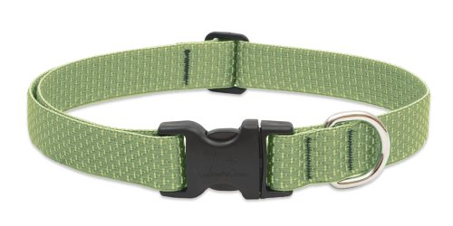 Preisvergleich Produktbild Lupine - 1x16-28 MOSS Dog Collar (36753)