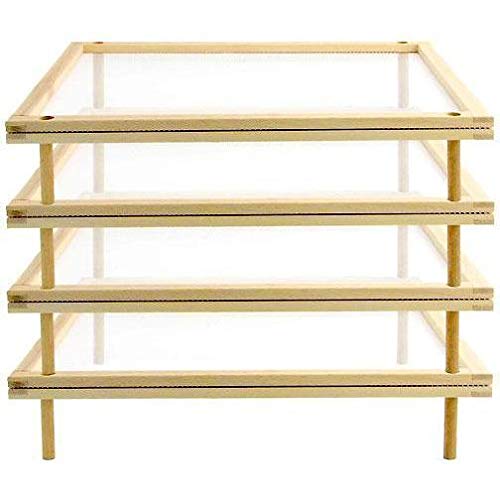 Secca Pasta/Funghi 50 x 40 cm caja de 4 unidades