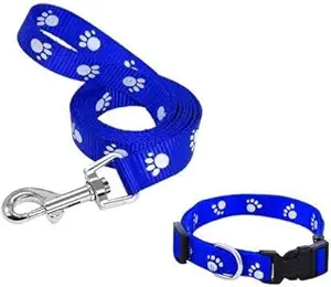 Dog Trust Paw Print Leash Collar Set for Cat Puppy with Bell for Cats and Dogs 10mm, (Blue)