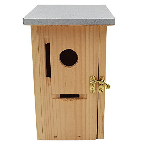 Nistkasten 30 x 14 x 12 (H x T x B) aus naturbelassenem Kiefernholz für kleine Vögel, mit seitlicher Öffnung, Plexiglas und verzinktem Metalldach - 4