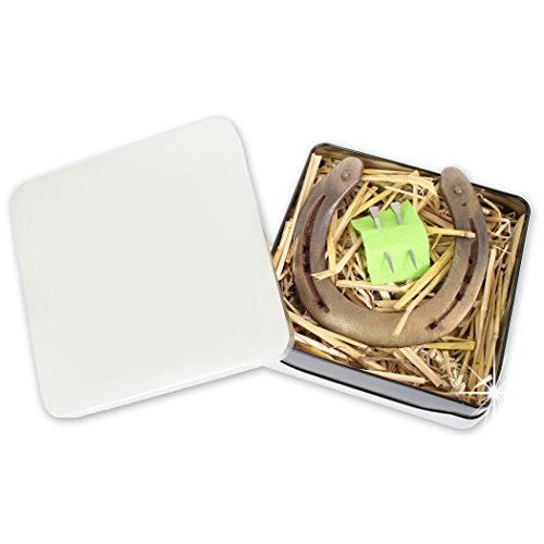 Geschenke mit Namen 1346 Echtes getragenes Glückshufeisen mit Echtheitszertifikat und 2 echten Hufnägeln, Metall, gold, 17 x 17 x 4.5 cm - 2