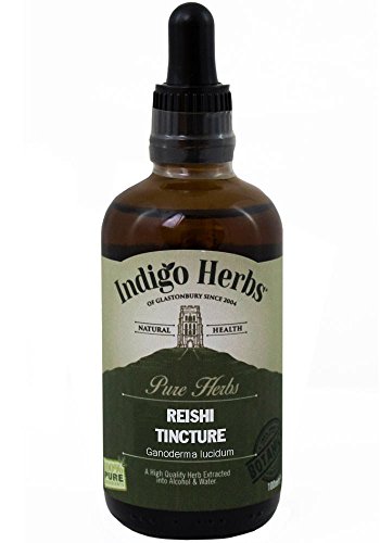 Preisvergleich Produktbild Reishi Pilz Tinktur - 100ml - (Quality Assured)