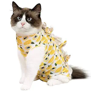 Cat Recovery Suit after Surgery, Pet Cone E-Collar Alternative, Elastic Professional Surgical Bandage Shirt Costume for Puppy Kitten Neutered/Abdominal Wound/Skin Damage/Weaning (L, Yellow Lemon)
