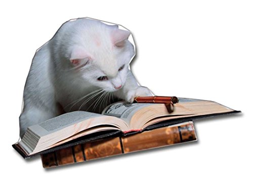 Magnettafel Bücherei – Märchenhafte Design Metall Magnetpinnwand 60×40 cm – Memoboard Pinnwand mit Motiv: Bücherregale Bibliothek – inkl. 8 Magnete Fliegende Bücher für Magnetwand – Original GUMA Magneticum® - 5