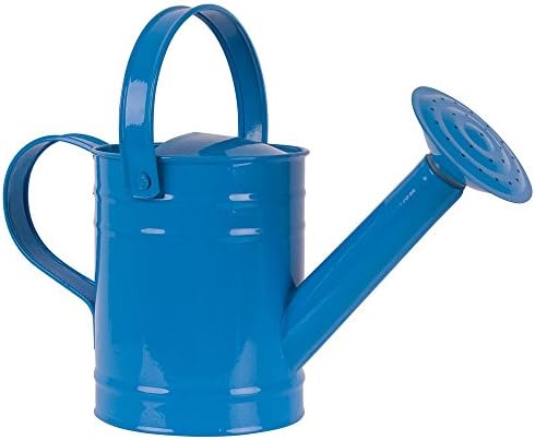 Twigz Childrens Gardening Tools 0806 Watering Can (Blue)
