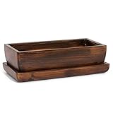 besonders geeignet für Bonsai oder Kakteen