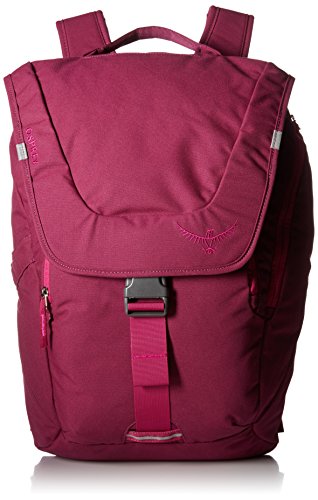 « Click to Enlarge and to go to Amazon »