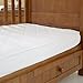 The Wool Room Wool Mattress Protector Cot Bed Size