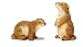 Produktbild Unbekannt Sunny Toys 14698 Poly Murmel, 2-er Set, circa 20 cm