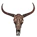 Produktbild Wand Skulptur Ox Head CHUCK Hörner Tier Kopf Tierkopf Ochse Deko Shabby bronze