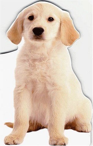 couverture de : Pop-Corn, le chiot