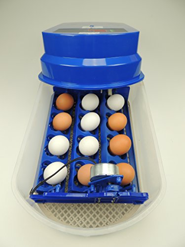 S12 Motorbrüter autom. Wendung Brutapparat, Inkubator, für bis zu 48 Eier Inkubator - 7