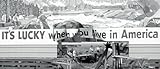 Image de Car crashes and other sad stories