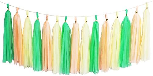 KOKER Tassel Garland, Tissue Paper Tassels for Wedding, Baby Shower, Event & Party Supplies, 15 pcs DIY Kits - Packaged With Instructions (Mint Green+Peach+Ivory)