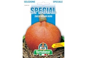 L'ORTOLANO Sementi di ortaggi ibride e selezioni speciali ad uso amatoriale in buste termosaldate (80 varietà) (ZUCCA UCHIKI KURI)