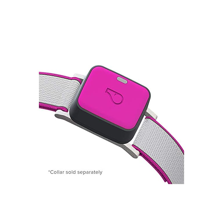 Whistle GO Explore GPS + Health + Fitness Dog Tracker Plus Health & Fitness Monitor, Waterproof
