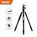 Price comparison product image Rollei C6i Carbon Tripod - Arca Swiss compatible - Convertible to Monopod - incl. panorama ball head and redating central column for macro photography - Black