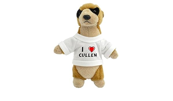 personalised meerkat teddy