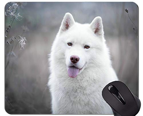 Preisvergleich Produktbild Mauspads, Gaming-Mauspad, Hund - genähte Kanten