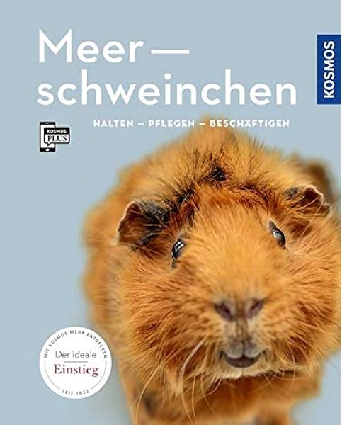 Meerschweinchen Halten Pflegen Beschaftigen Mein Tier Amazon De Beck Angela Bucher