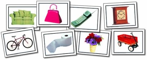 CARSON DELLOSA PHOTOGRAPHIC LEARNING CARDS NOUNS