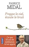 Frappe le ciel, écoute le bruit : ce que vingt-cinq ans de méditation m'ont appris