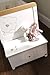 Tutti Bambini 3 Bears Toy Box (White)
