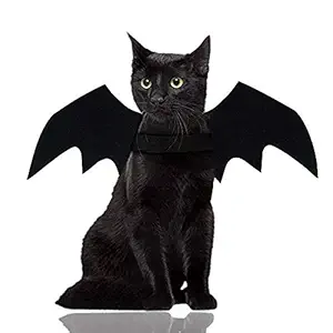 Malier Halloween Cat Costume for Cats Dogs Pet Bat Wings Cat Dog Bat Costume Wings (Medium)