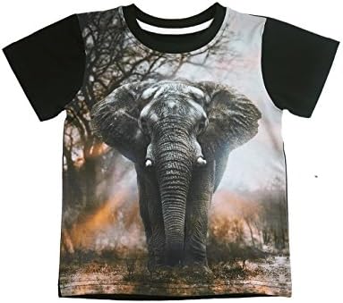 Rebavl Boy T-Shirt Summer Realistic Digital Print Top for Age 4 to 9 yrs Kids