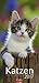 Katzen - Kalender 2017 by 