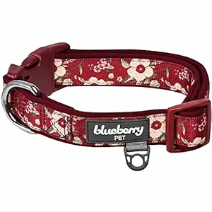 Blueberry Pet 2021 New Soft & Comfy Oriental Flower Neoprene Padded Adjustable Dog Collar, Tuscan Red, Large, Neck 18