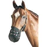 Maulkorb und/oder Fressbremse, schwarz Shetty