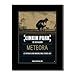 Produktbild LINKIN PARK - Meteora Matted Mini Poster - 28.5x21cm
