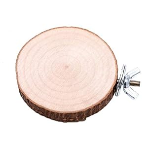 Keersi Columpio Colorido con Campanas para pájaros