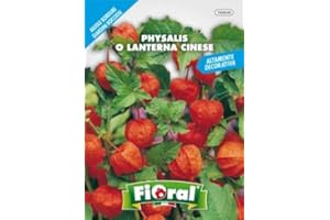 L'ORTOLANO Sementi Da Fiore Di Qualità In Bustina Per Uso Amatoriale (Physalis O Lanterna Cinese)