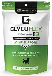 Glyco-Flex II Soft-Chews for Dogs, 120-Count