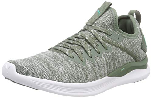 Puma Womens Ignite Flash Evoknit Wn S Black Kno Running