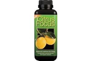 GREENLIGHT GUYS citrus focus 100ml growth technology