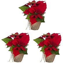 Suchergebnis Auf Amazonde Für Weihnachtsdeko Fensterbank