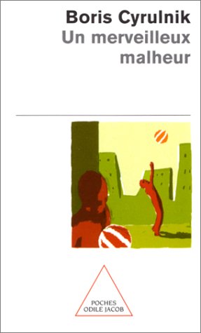 couverture de : Un merveilleux malheur