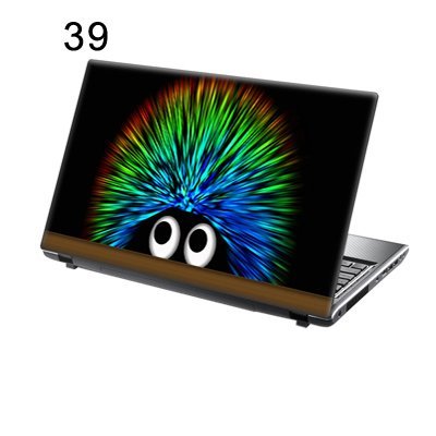 TaylorHe Folie Sticker Skin Vinyl Aufkleber mit bunten Mustern für 15 Zoll 15,6 Zoll (38cm x 25,5cm) Laptop Skin Igel, bunt