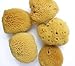 Unbleached Natural Soft Sea Sponge, for Facial Care approx 6cm, 2 1/2"
