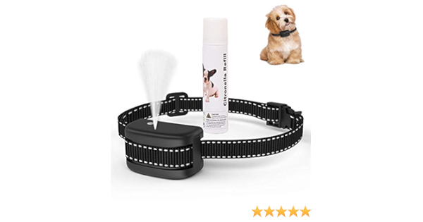 amazon prime dog training collars