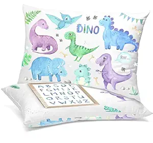 HEGZI Pillow for Kids Boys and Girls - 100% Cotton Small Baby Pillow for 1 Year to 5 Year - Cushion for Kids - Small Infant Baby Pillow for Travel, Bed Set, for Sleeping - Pack of 1